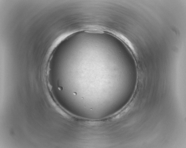 X0000115681381200911251742