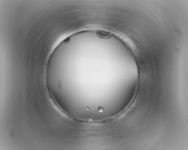 X0000115681382200911251742