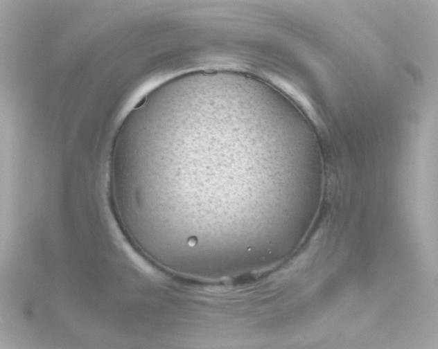 X0000115681383200911251742