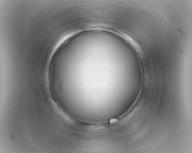 X0000115681384200911251742