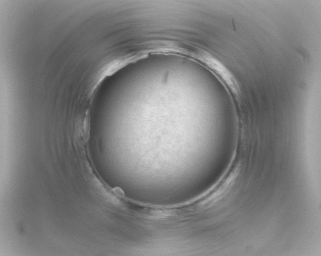 X0000115681385200911251742