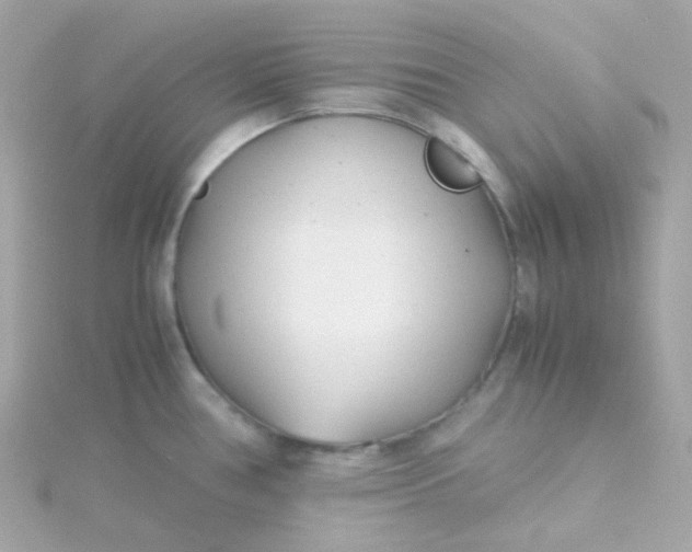 X0000115681386200911251742