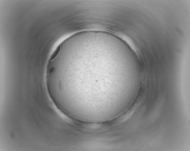 X0000115681387200911251742