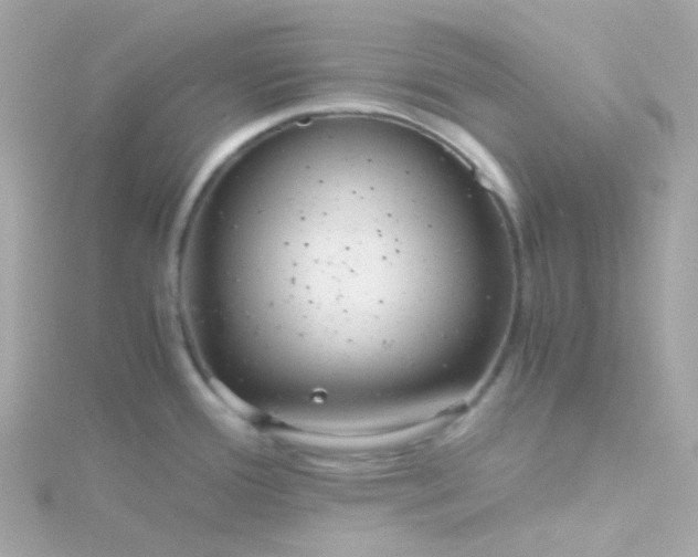 X0000115681388200911251742