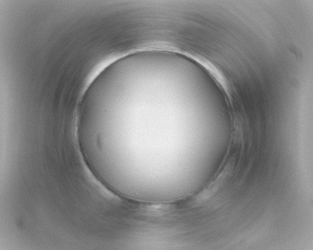 X0000115681390200911251742