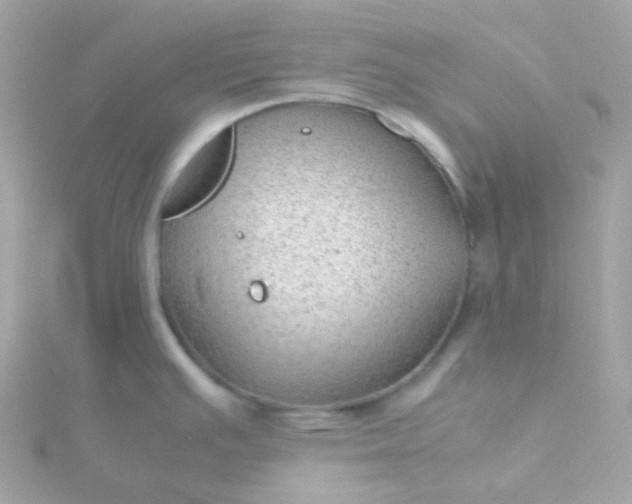 X0000115681391200911251742