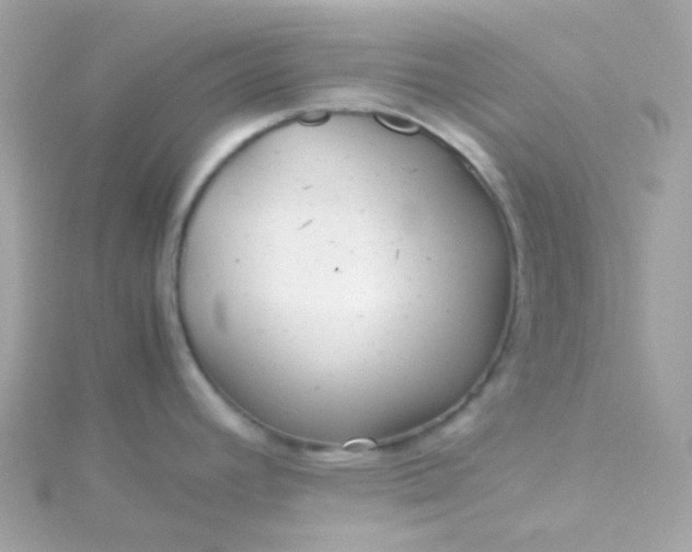 X0000115681392200911251742