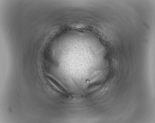 X0000115681393200911251741