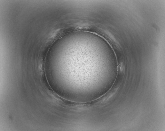 X0000115681396200911251741