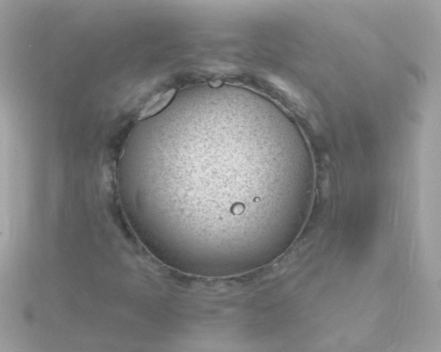 X0000115681397200911251741