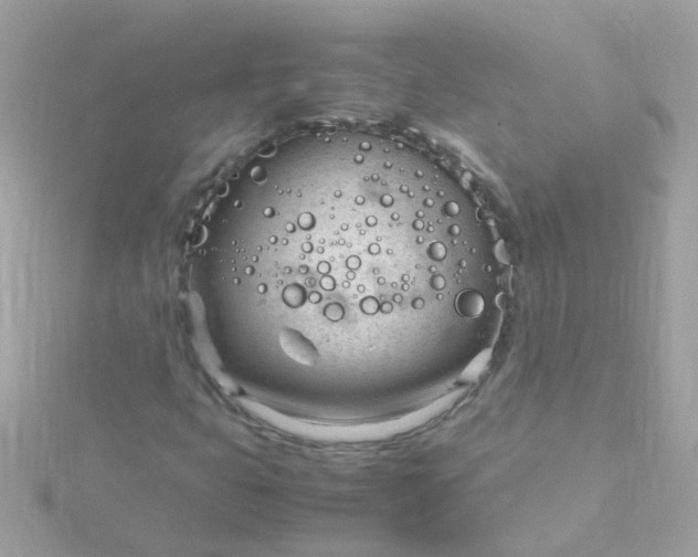 X0000115681399200911251741