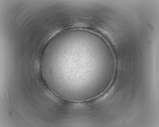 X0000115681401200911251741