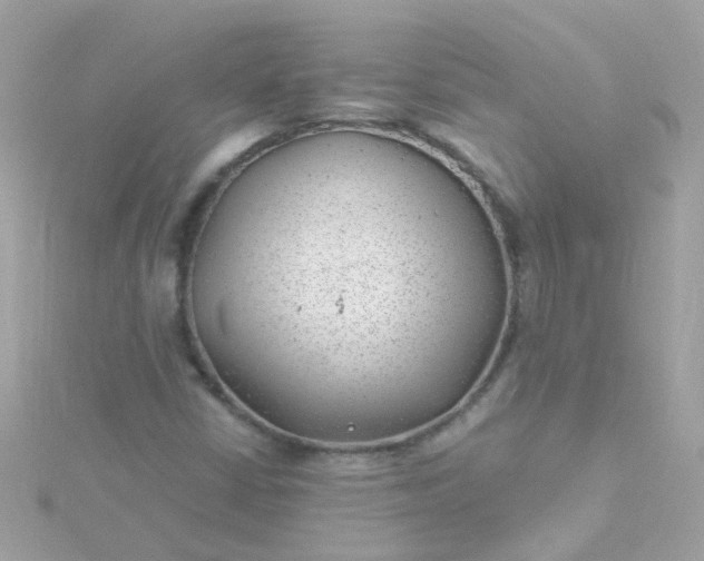 X0000115681402200911251741