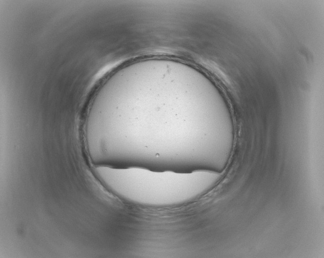 X0000115681404200911251741