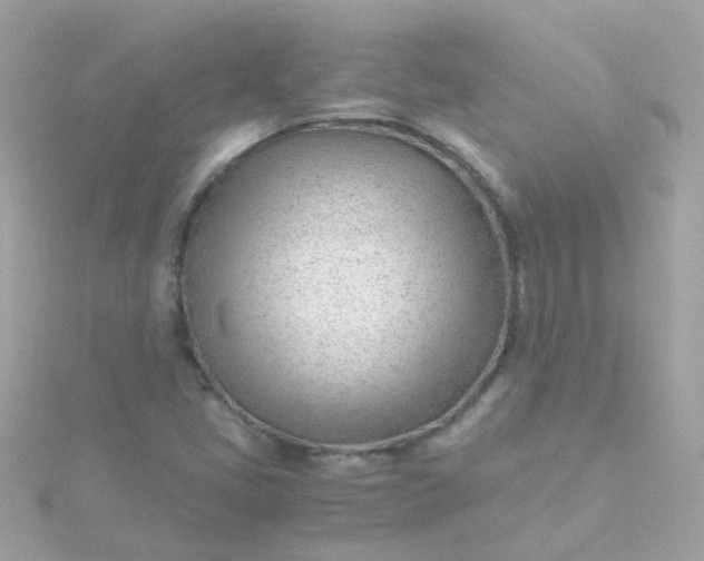 X0000115681405200911251741