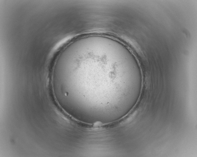 X0000115681406200911251741