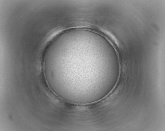 X0000115681407200911251741