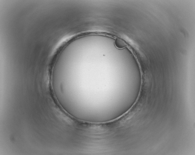 X0000115681408200911251741