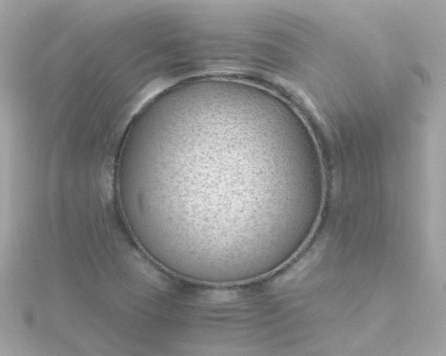 X0000115681409200911251741