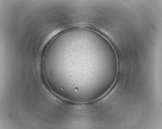 X0000115681410200911251741