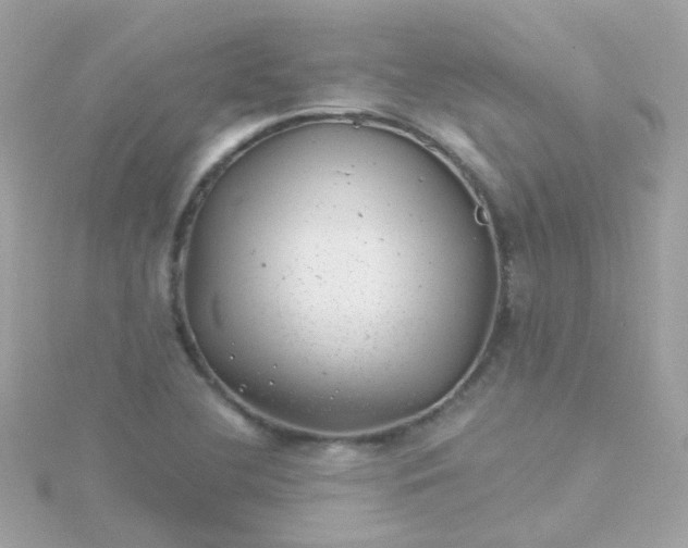 X0000115681412200911251741