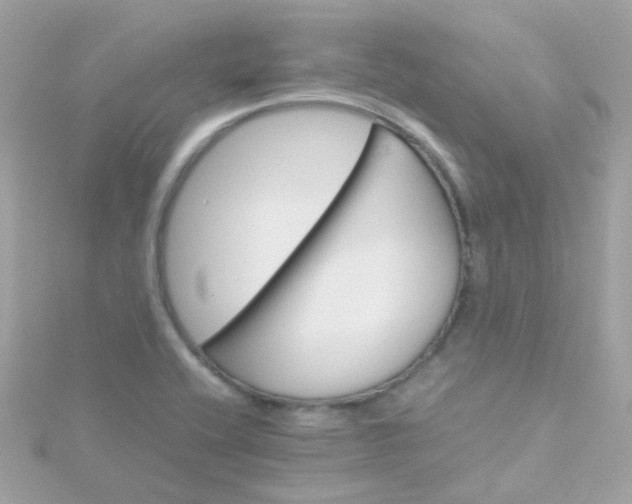 X0000115681416200911251742