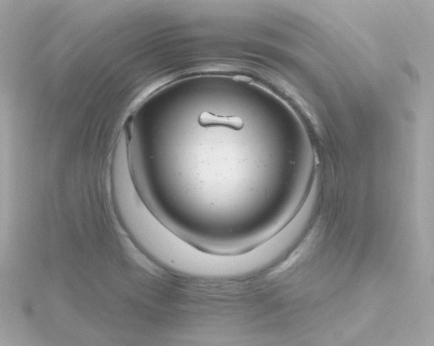 X0000115681417200911251742