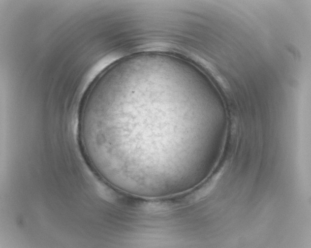 X0000115681418200911251742