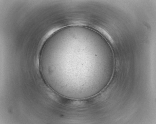 X0000115681419200911251742