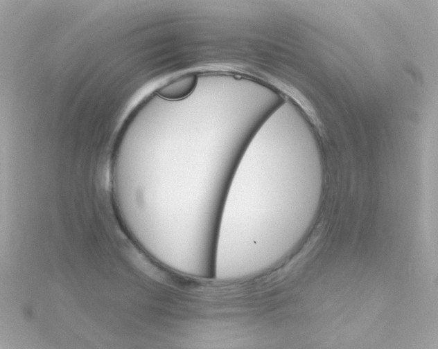 X0000115681420200911251742