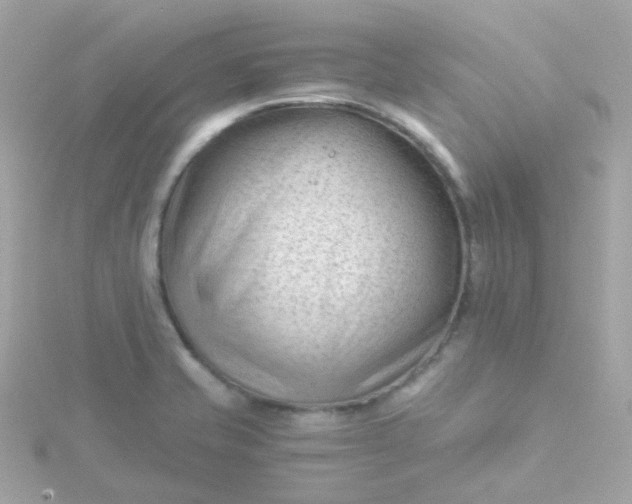 X0000115681421200911251742