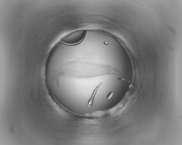 X0000115681422200911251742