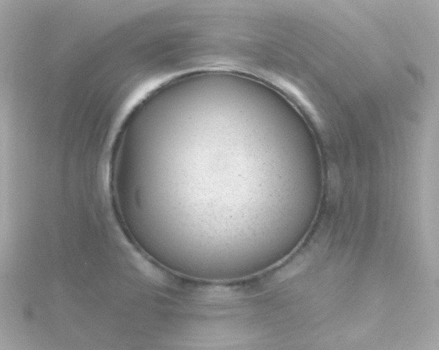 X0000115681424200911251742