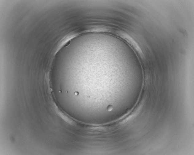 X0000115681425200911251742