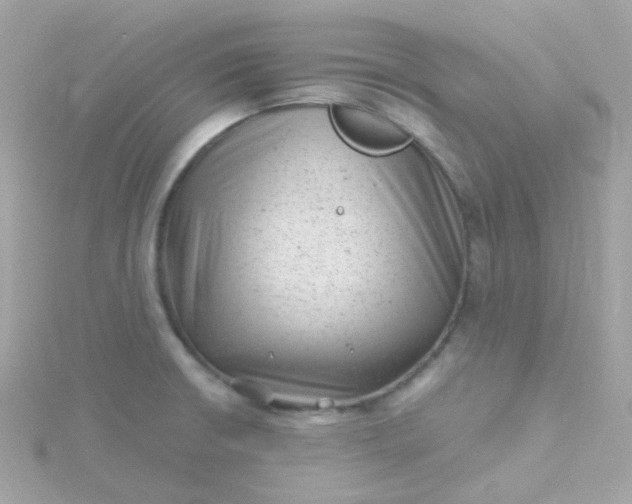 X0000115681426200911251742