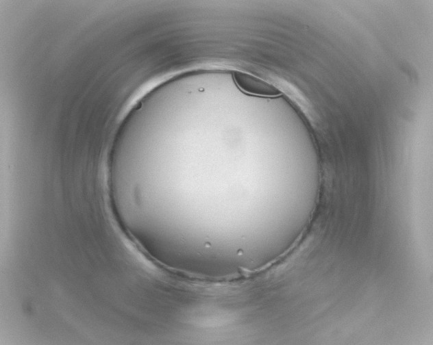 X0000115681428200911251742