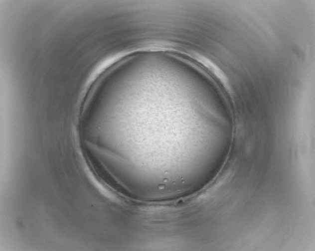 X0000115681429200911251742