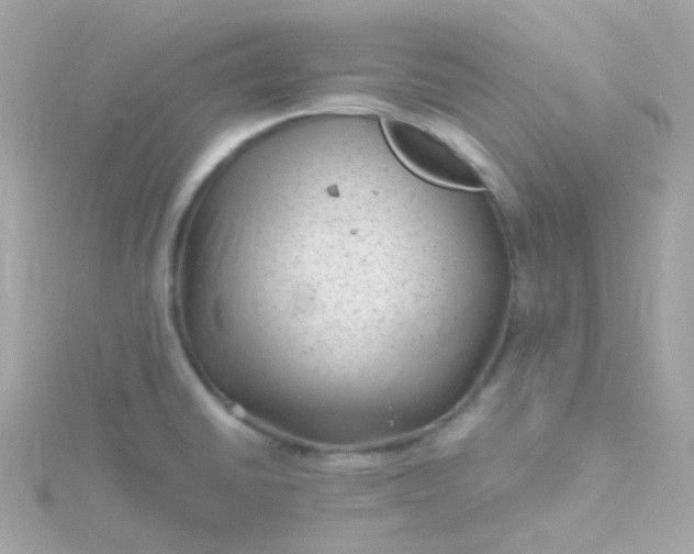 X0000115681430200911251742