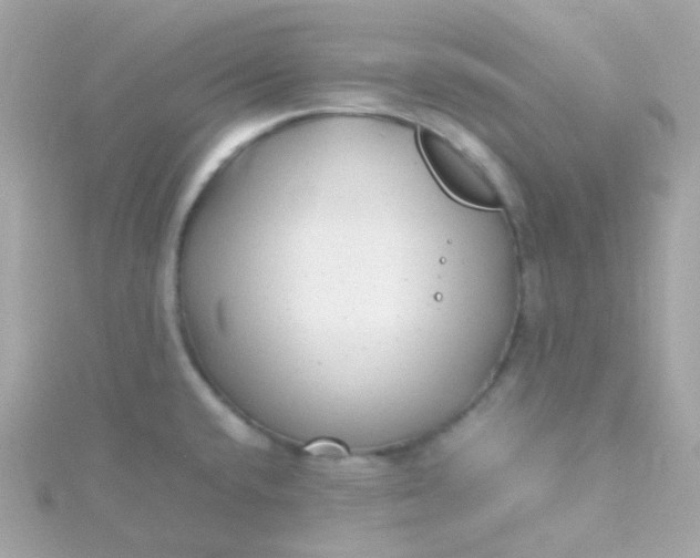 X0000115681432200911251742