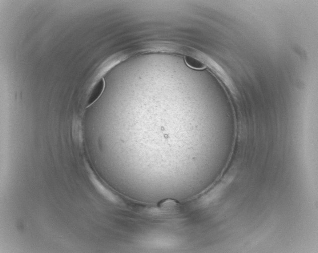 X0000115681433200911251742