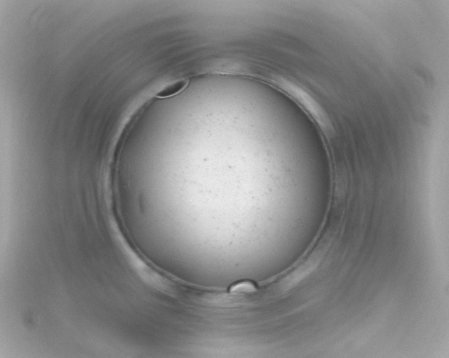 X0000115681434200911251742