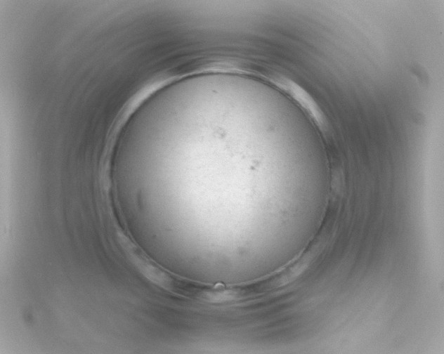 X0000115681435200911251742