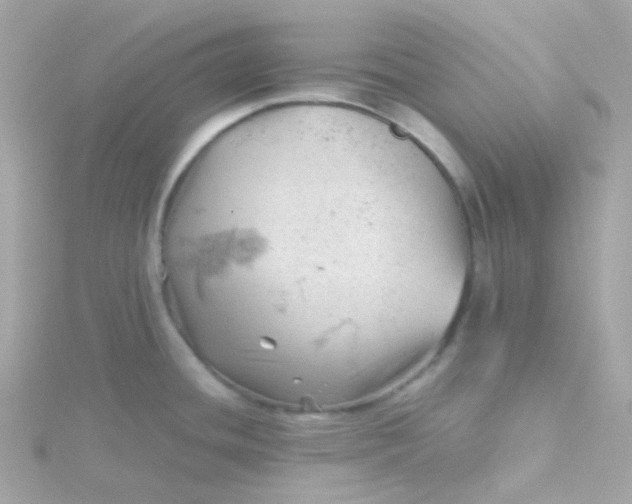 X0000115681436200911251742