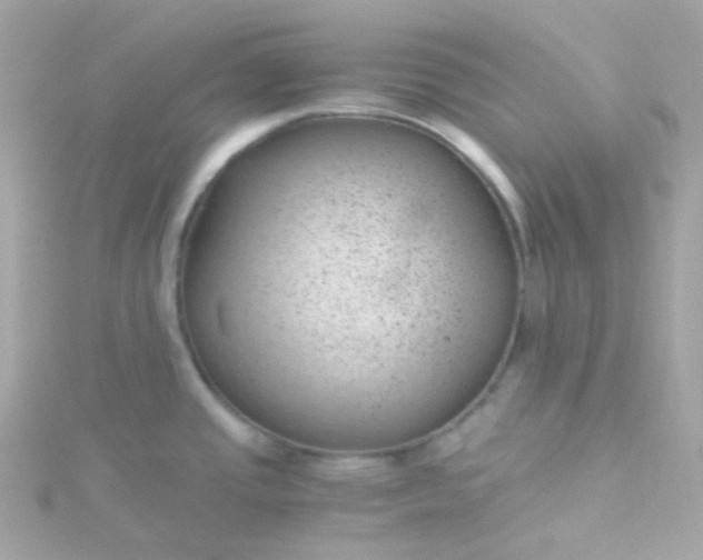 X0000115681437200911251742