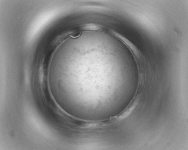 X0000115681438200911251742