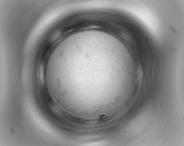 X0000115681439200911251742