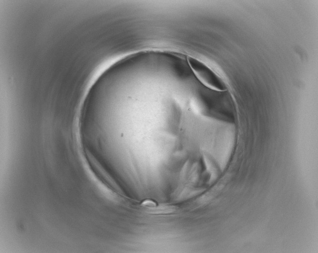 X0000115681440200911251742