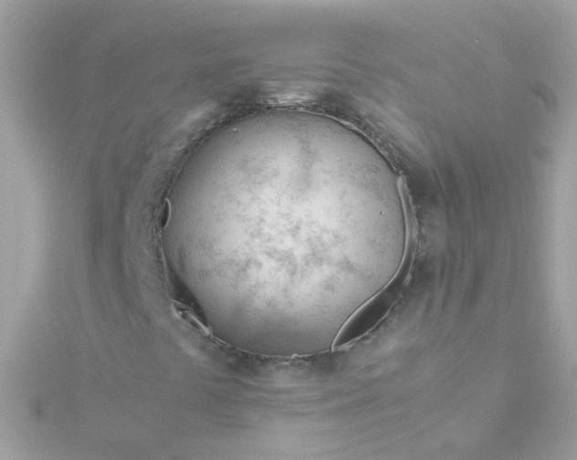 X0000115681441200911251741