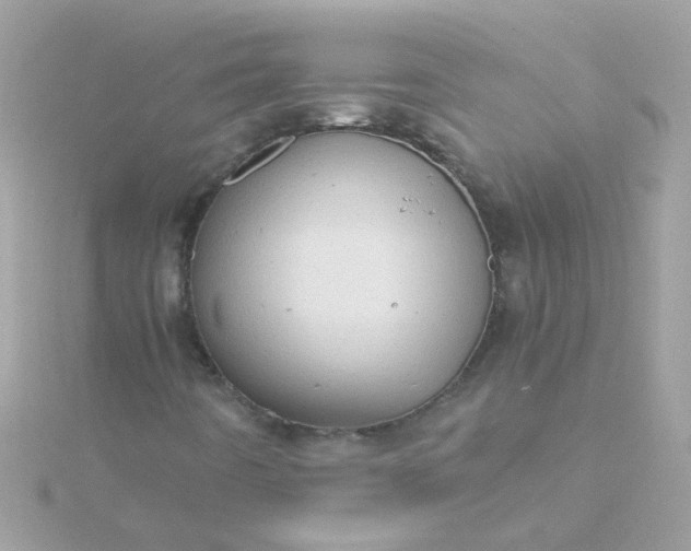 X0000115681442200911251741