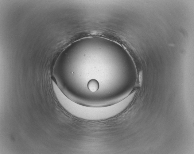 X0000115681443200911251741